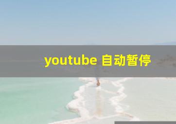 youtube 自动暂停